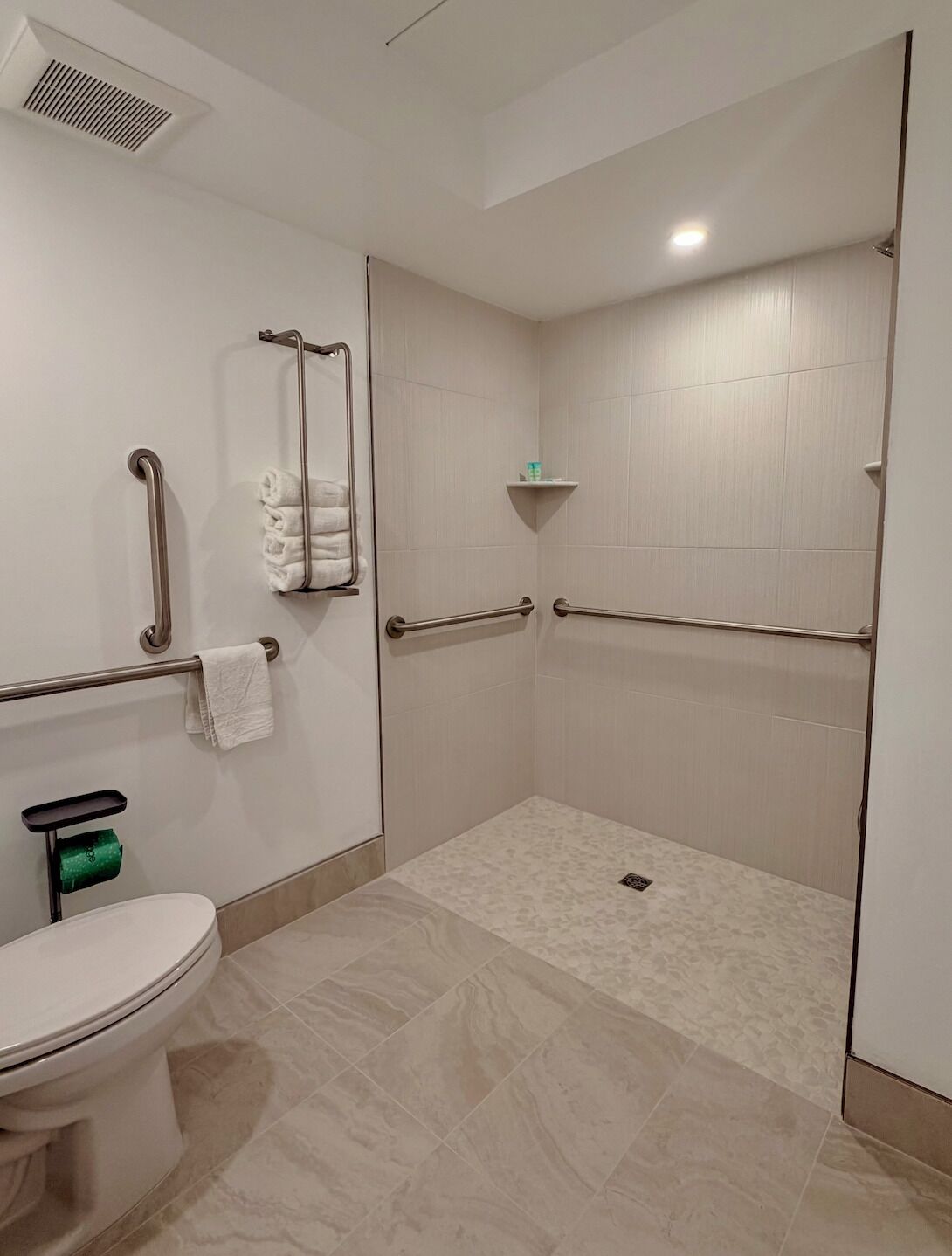 A modern bathroom with a toilet, grab bars, a shower area, and a towel rack.