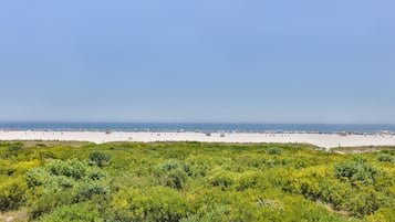 Deluxe Room, Kitchenette, Oceanfront | Private kitchen | Fridge, microwave