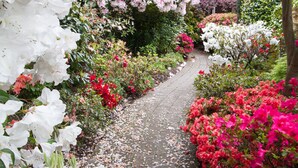 Un sendero en un jardín con flores blancas y rosadas, rodeado de vegetación exuberante.