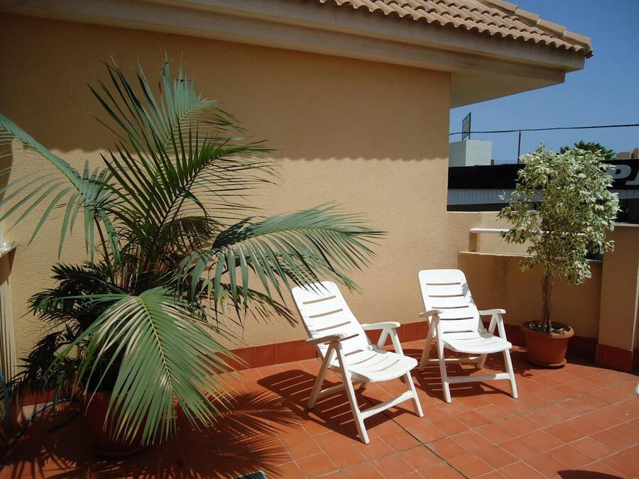 A terrace with two white lounge chairs, a potted palm tree, and a small tree in a pot.