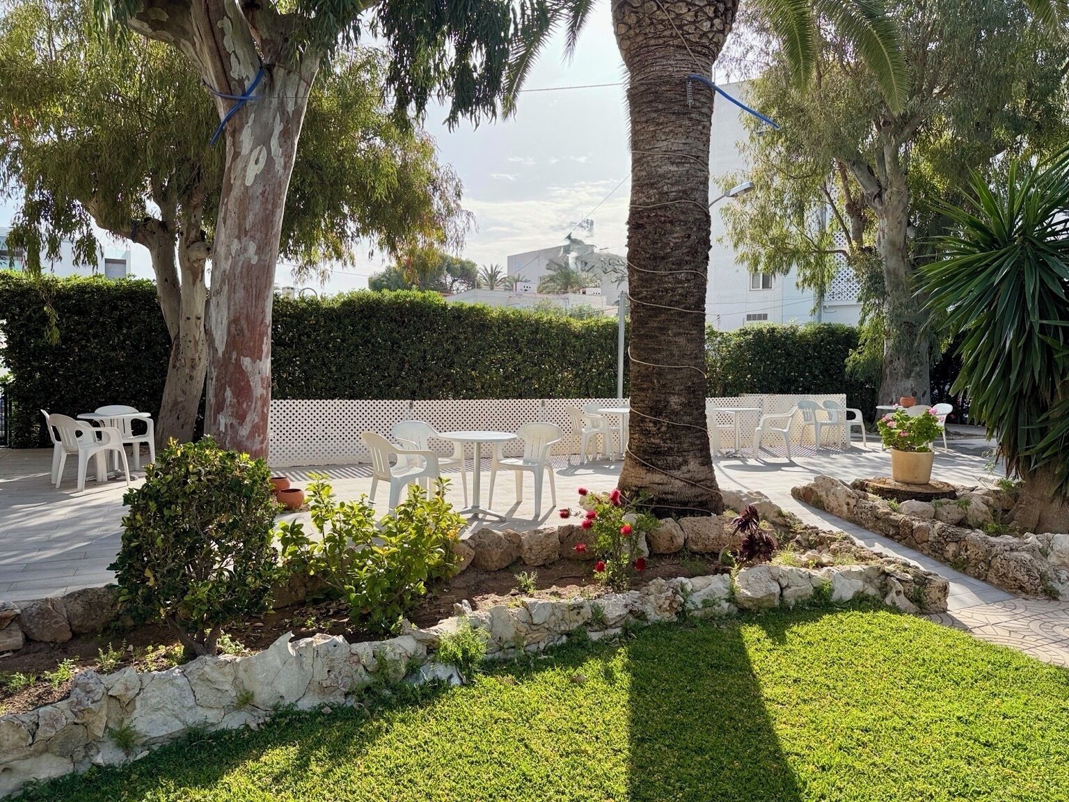 Photo - Hotel Villa Naranjos