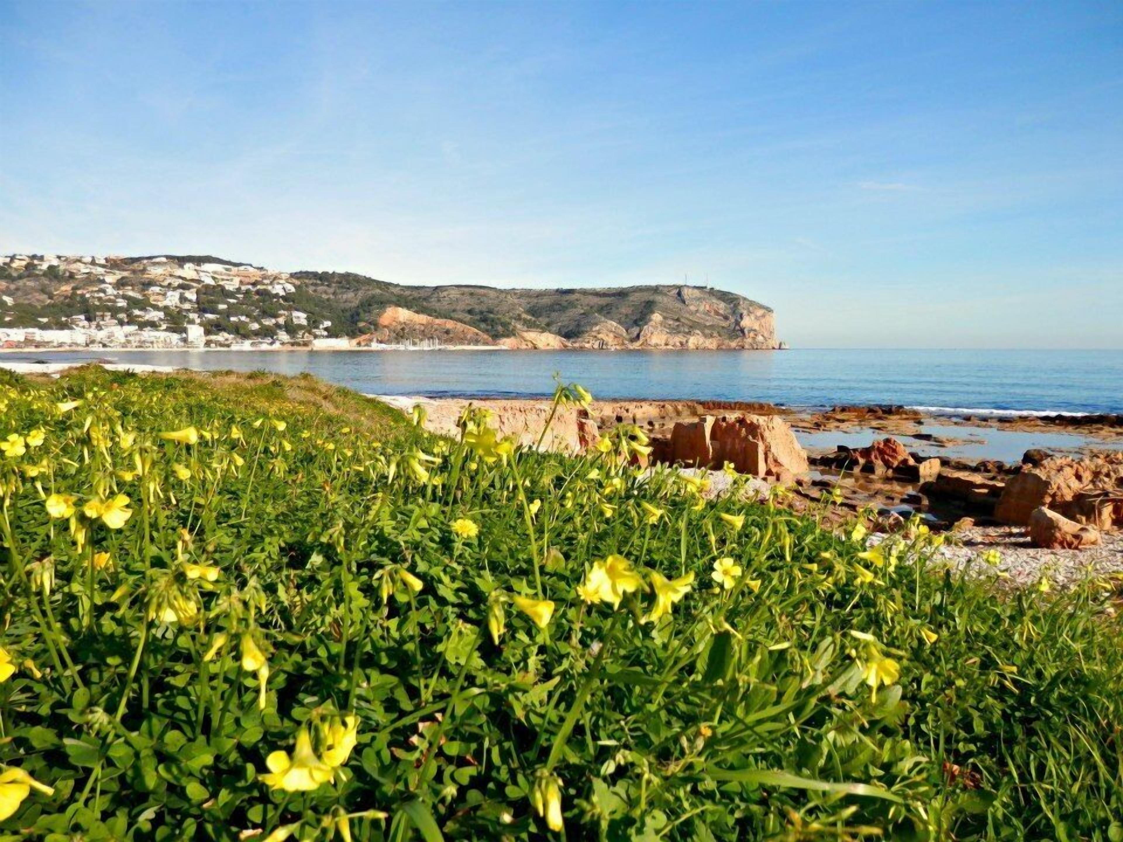 Foto - Hotel Villa Naranjos