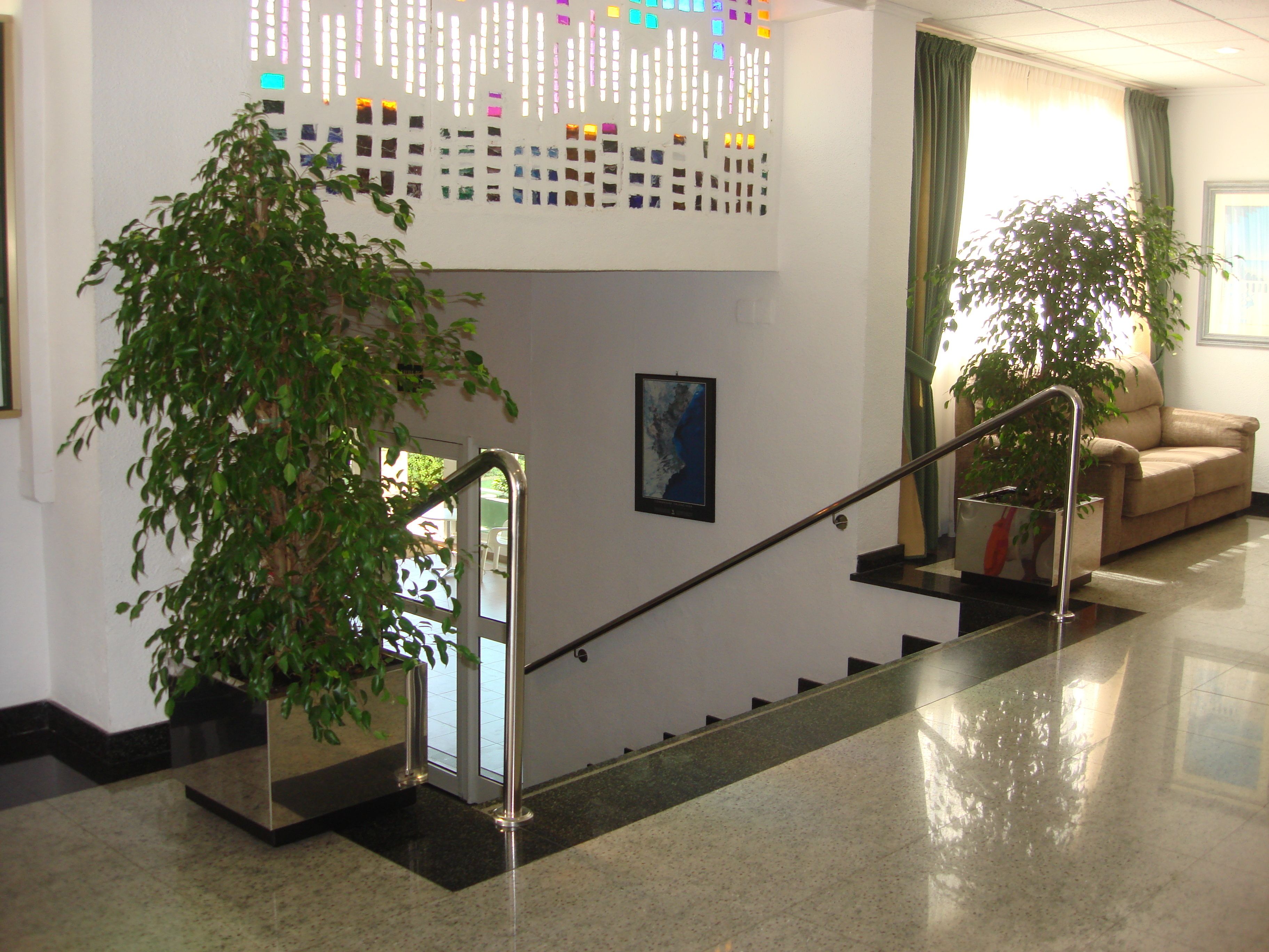 Foto - Hotel Villa Naranjos