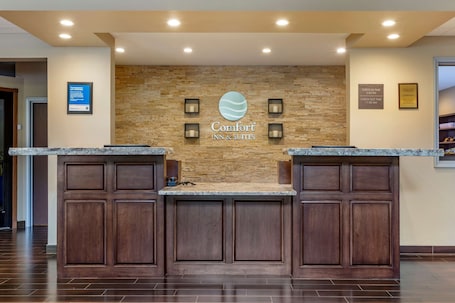 Lobby. Comfort Inn & Suites Near Mt. Rushmore