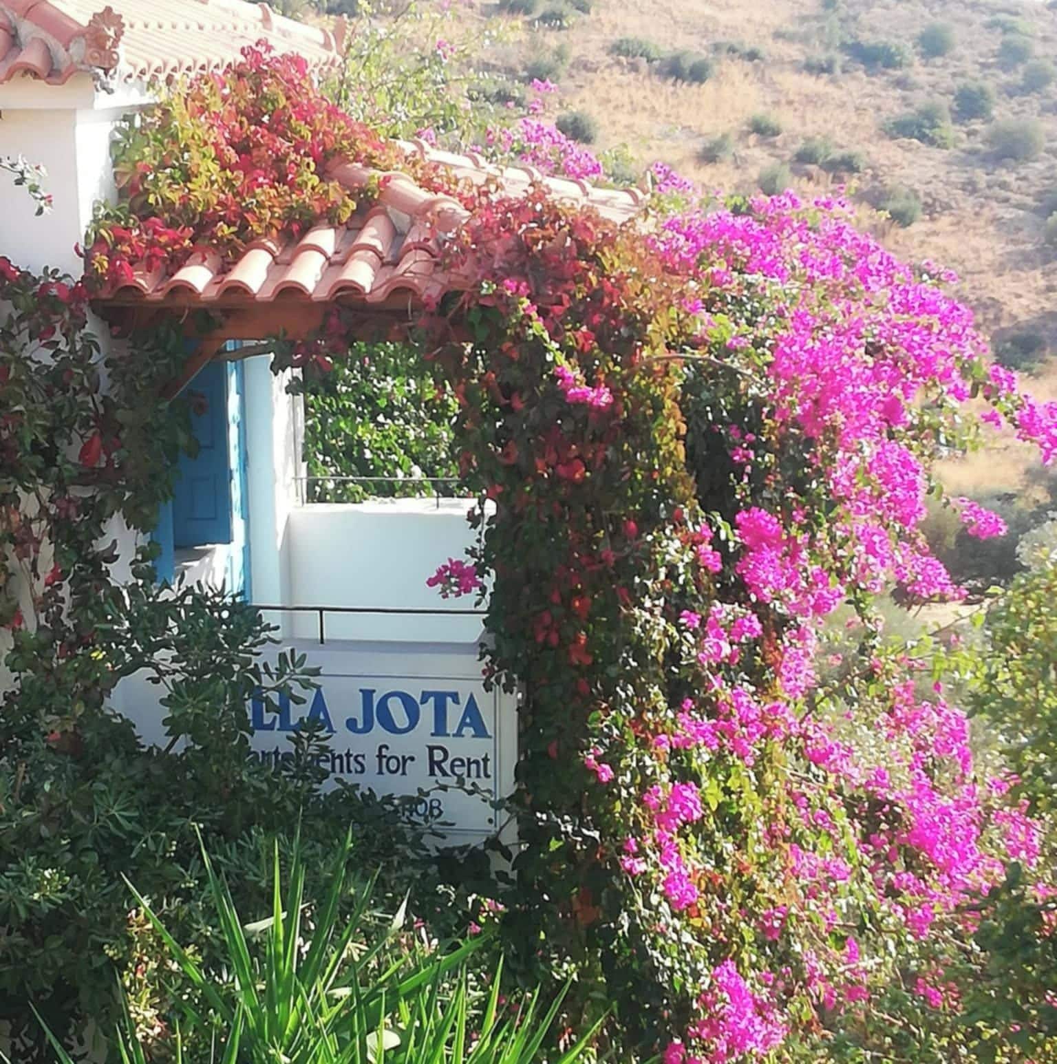 Ein Gebäude mit einem Schild 'LEA JOTA', das anzeigt, dass es vermietet wird.