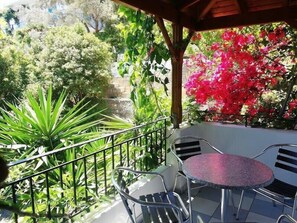 View from property - Apartments Jota (SAMOS)
