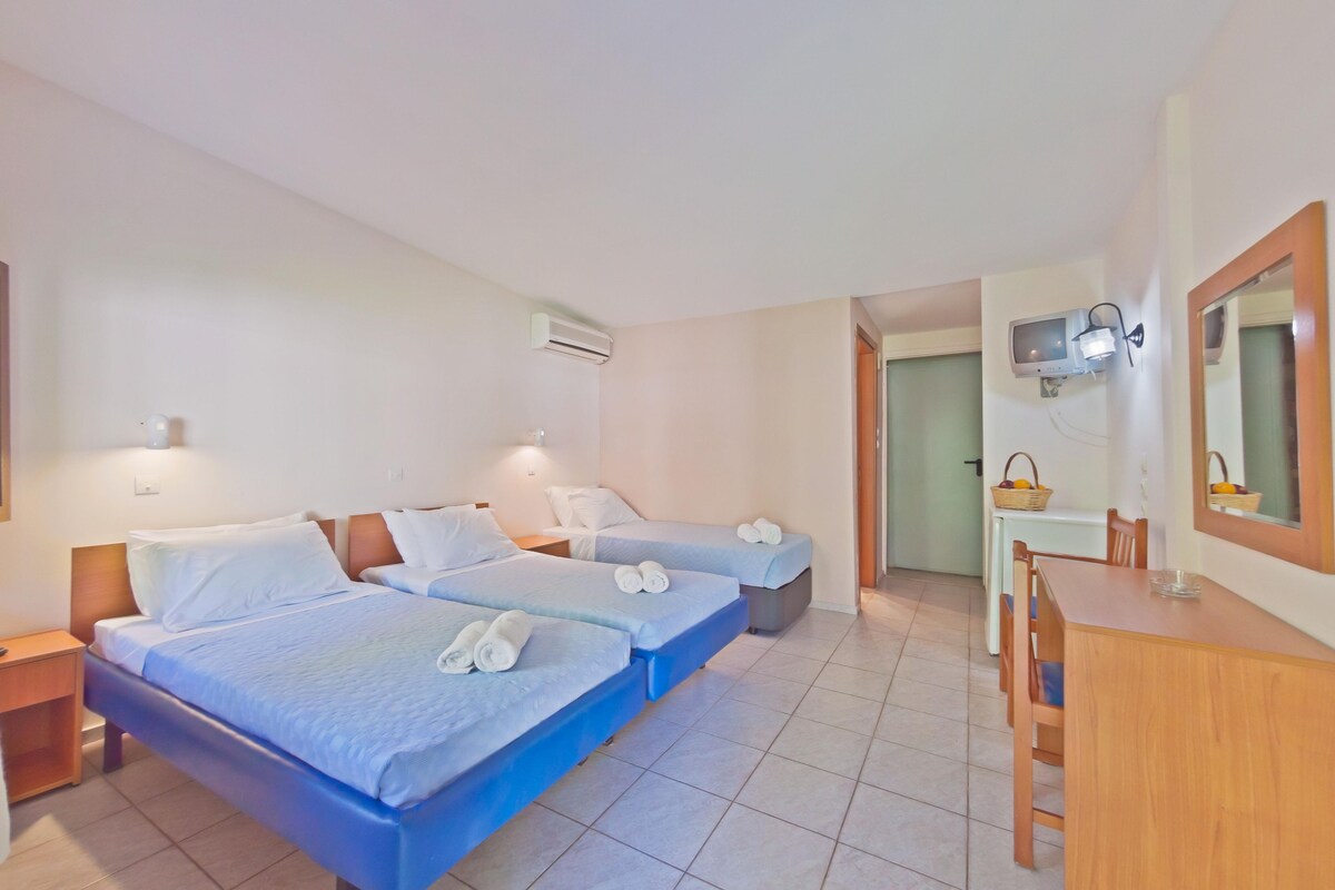Habitación de hotel con dos camas, un escritorio, una silla, un televisor y un espejo.