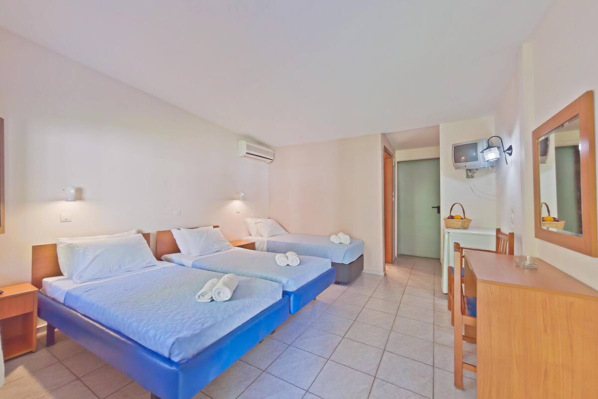 Habitación de hotel con dos camas, un escritorio, una silla, un televisor y un espejo.
