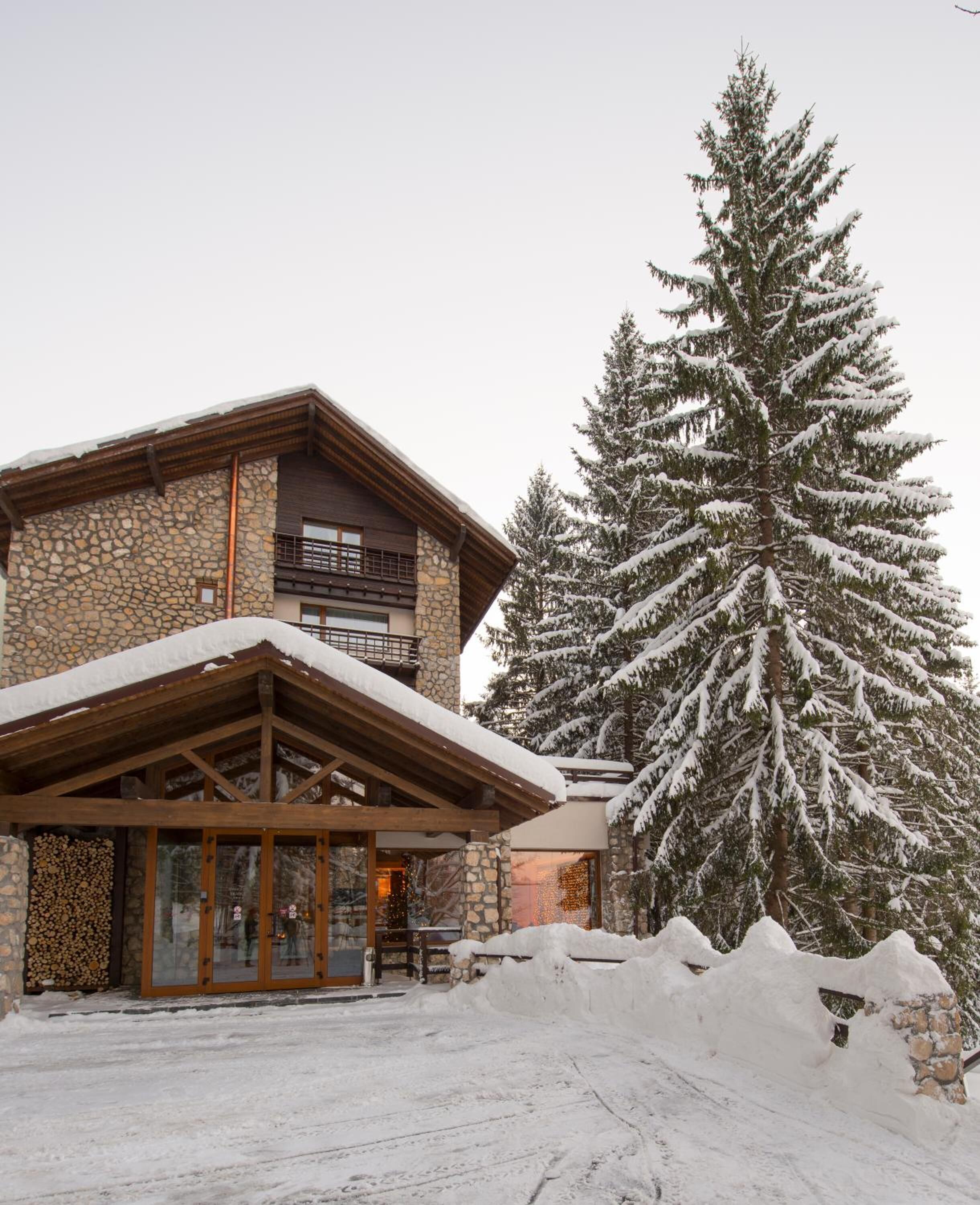 A stone building with a wooden roof and a large snow-covered tree in front.