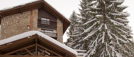 A stone building with a wooden roof and a large snow-covered tree in front.