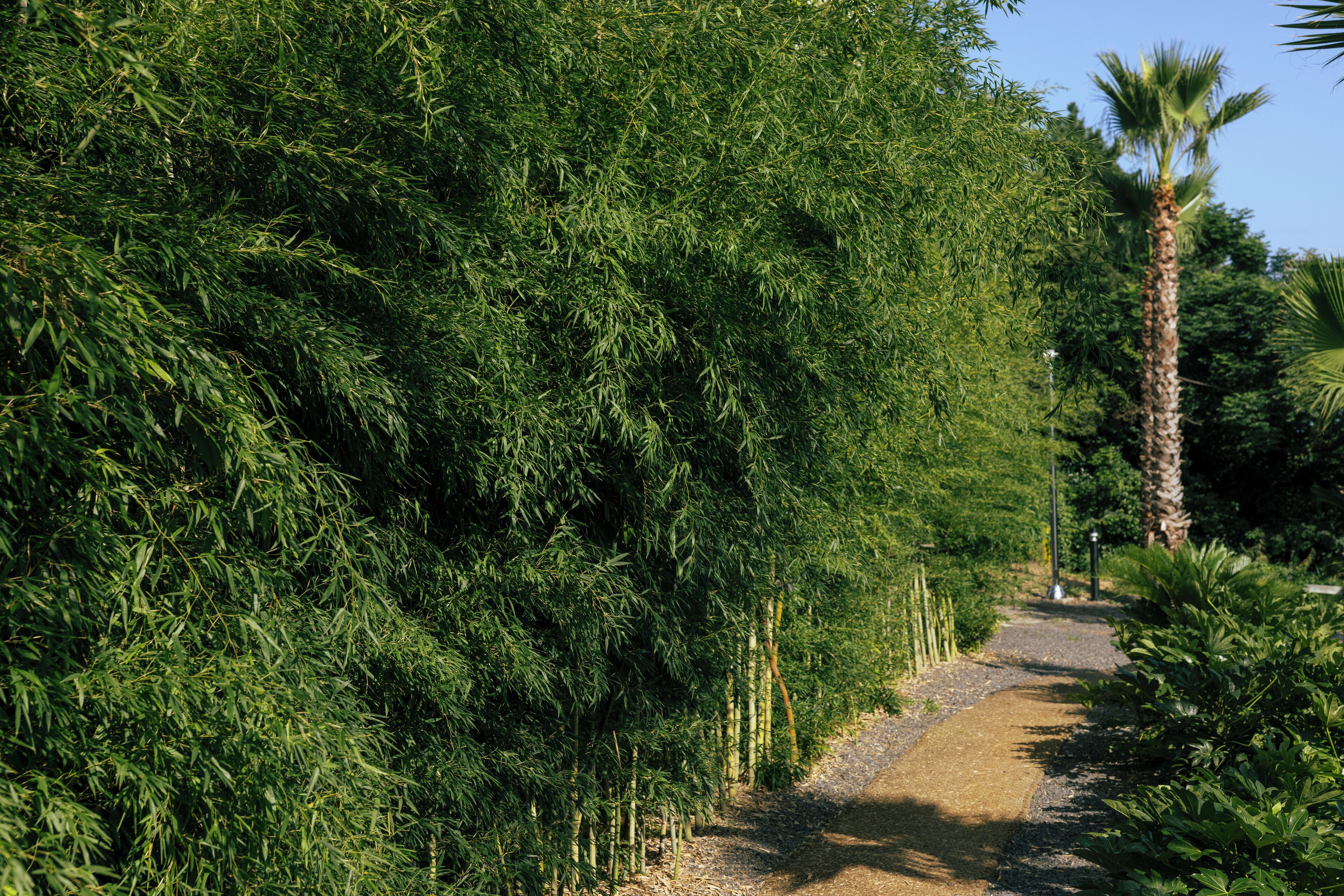 1 bedroom, down duvets, in-room safe, free wifi