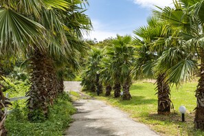 A pathway flanked by palm trees in a garden setting. - Kensington Resort Jeju Jungmun (Seogwipo)