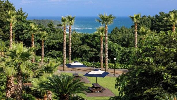 A view of a lush garden with palm trees and picnic tables, overlooking a body of water. - Kensington Resort Jeju Jungmun (Seogwipo)