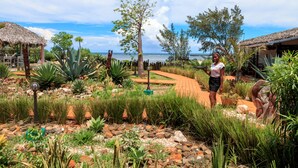Un jardín con un sendero, plantas tropicales y vista al mar.