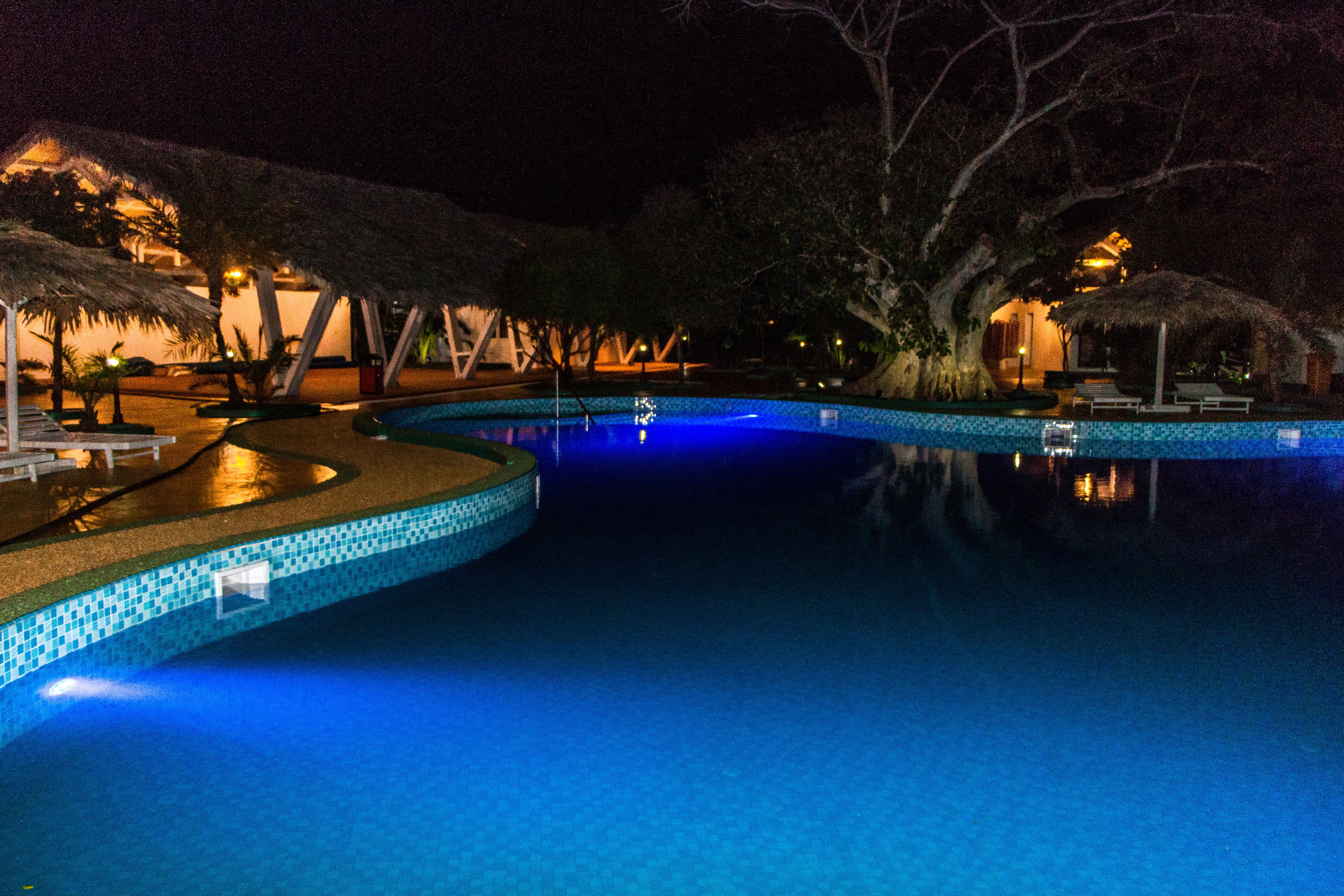 A nighttime swimming pool with a tiled edge, surrounded by lounge chairs and umbrellas, and trees in the background.