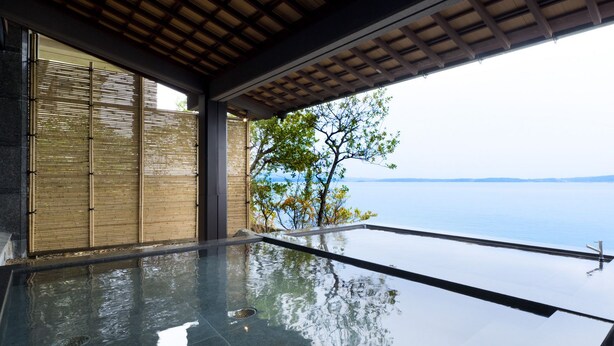 Ein moderner Infinity-Pool mit freiem Blick auf das Meer, Bambusparavents und einem Baum.