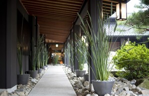 A corridor with potted plants and a pathway.