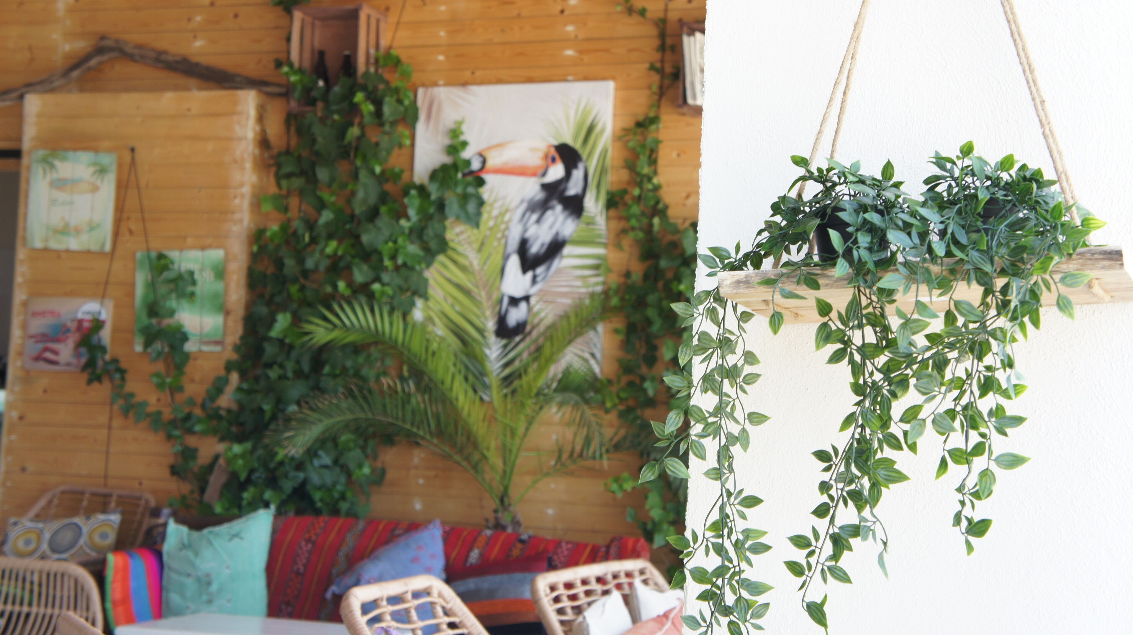A room with a wooden wall, a painting of a toucan, and hanging plants.