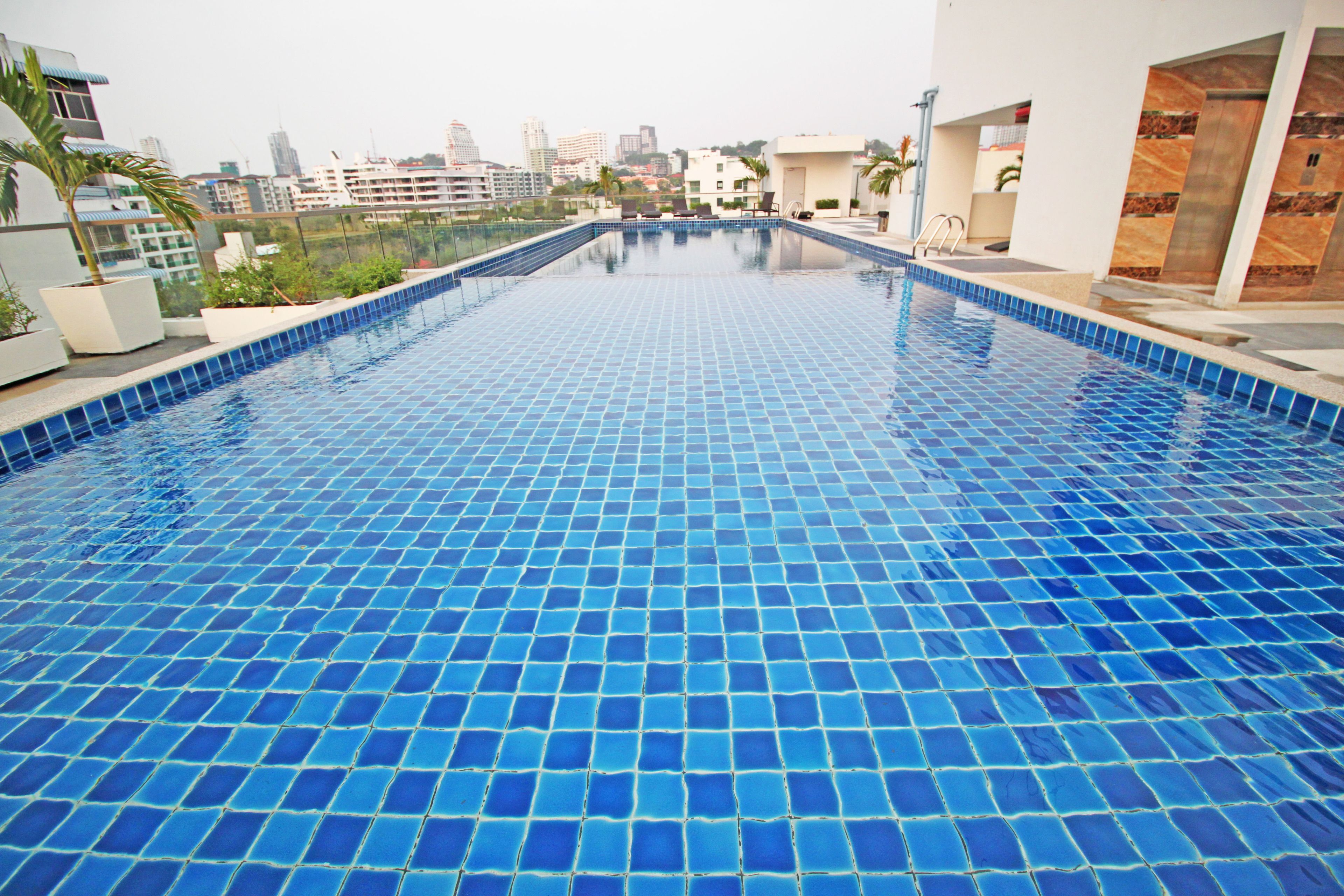 Una piscina en la azotea con azulejos azules, rodeada de edificios y plantas.