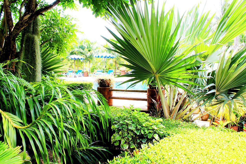 Jardín