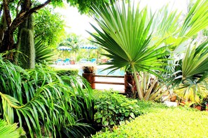 Garden - Baan Vanida Garden Resort (Karon)