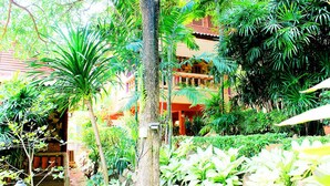 Un jardín exuberante con diversas plantas tropicales y un edificio tradicional con varios balcones.