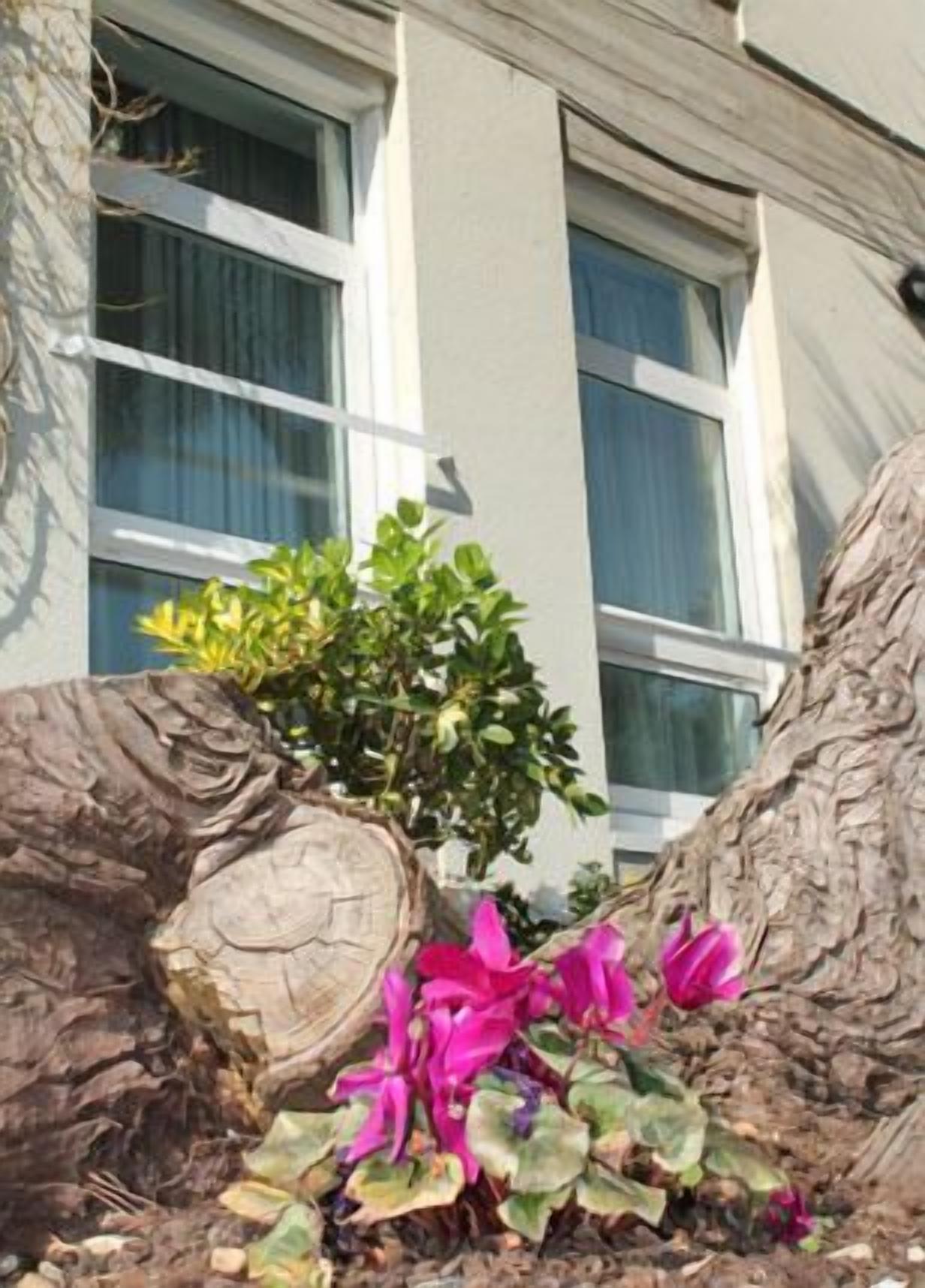 Photo - Hostal La Salle