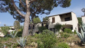 A rustic building with a sloped roof, surrounded by a garden with various plants and a large tree. - Domaine Saint Pierre (Cargese)