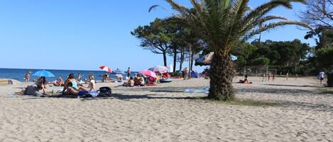 Una playa con gente tomando el sol y nadando, palmeras y sombrillas.