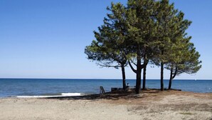 A beach with a large pine tree and a clear blue sky. - Camping Merendella (San-Nicolao)