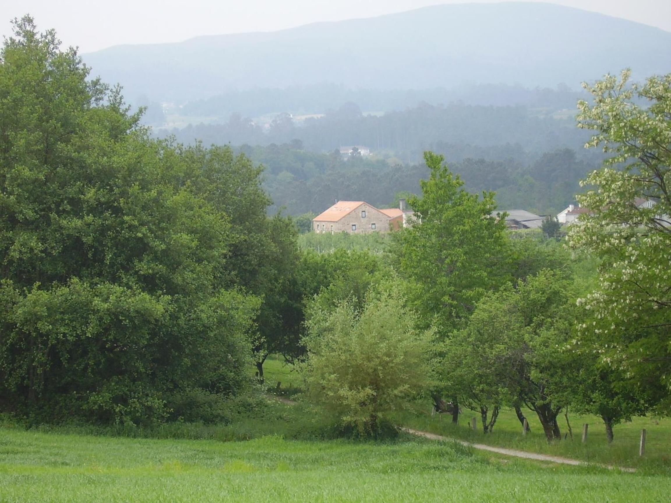 A rural landscape with a building surrounded by trees and a path leading to it.