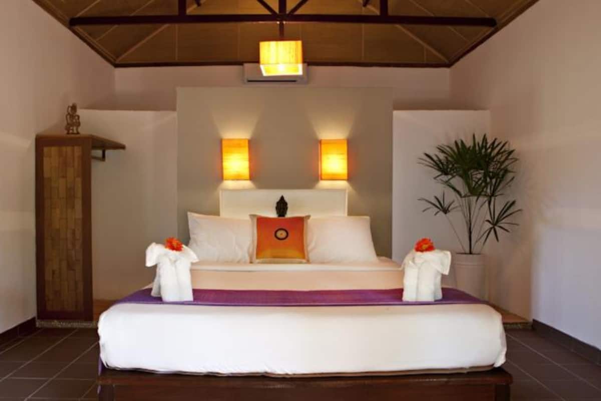 A hotel room with a bed, two bedside lamps, a nightstand, a potted plant, and a wooden cabinet.