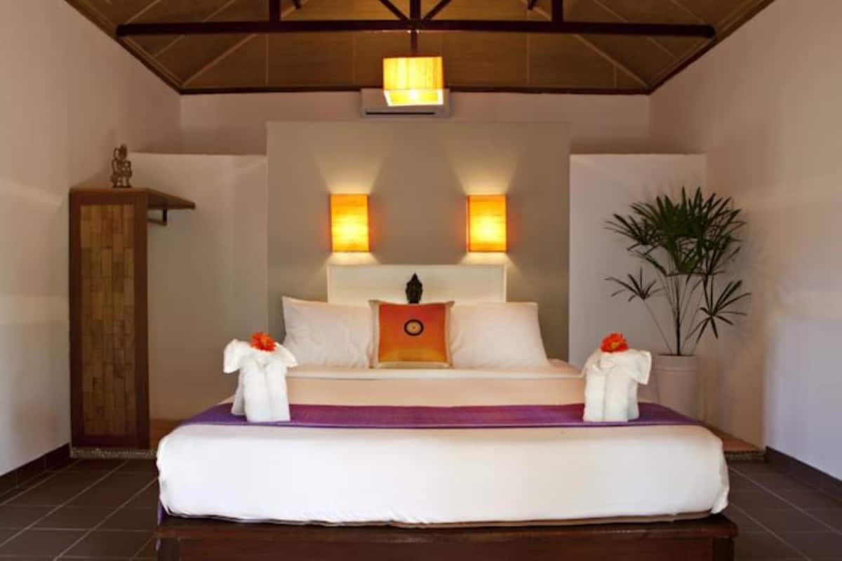 superior bungalow | desk, blackout curtains, free wifi, bed sheets