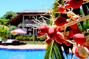 Servei de restauració a l'aire lliure