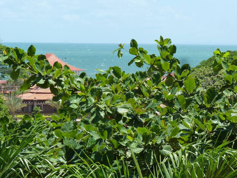 A lush green landscape with a view of the ocean and a building with a red roof in the background.