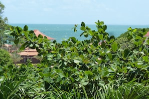 View from property - Raingsey Bungalow (Kep)