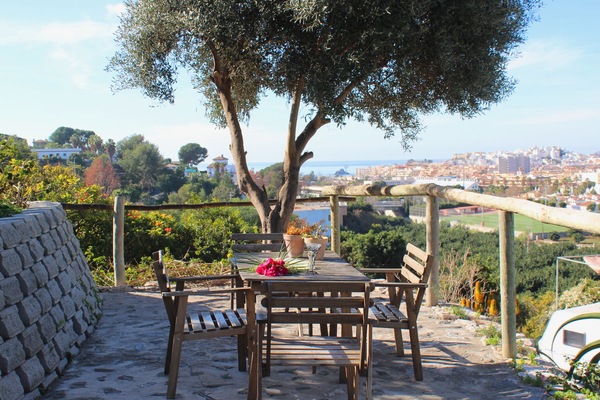 Apartment, 1 Bedroom, Terrace, Ocean View | Balcony