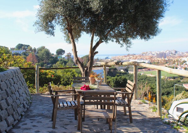 Apartment, 1 Bedroom, Terrace, Ocean View | Balcony