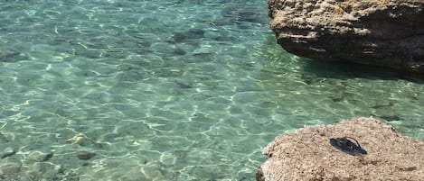 A clear, shallow water body with visible rocks and a few people swimming.
