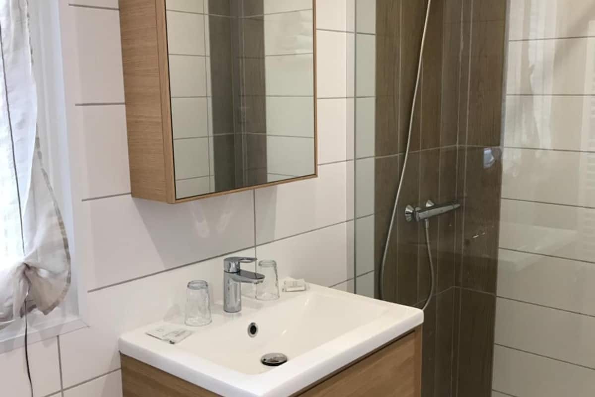 shower, free toiletries, hair dryer, towels