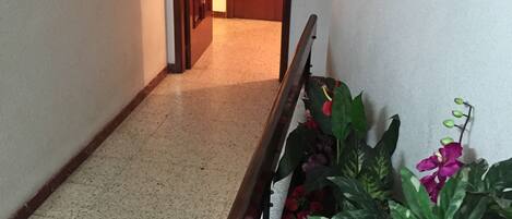 A hallway with a wooden handrail and potted plants.