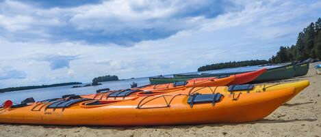 Een rij kajaks op een zandstrand, met water en bomen op de achtergrond.