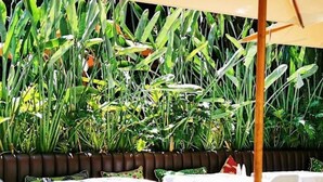 An outdoor seating area with tables and chairs, surrounded by lush greenery. - Hôtel GAUTHIER (Casablanca)
