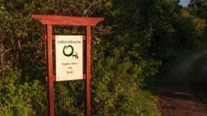 A sign with the text "GREEN DRAGON" and a symbol of a dragon.