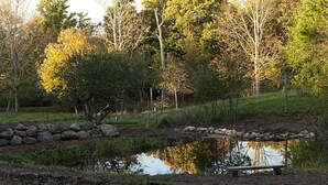 A pond with a stone wall and a bench, surrounded by trees and grass.