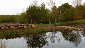 A pond with reflections of trees and a stone wall.