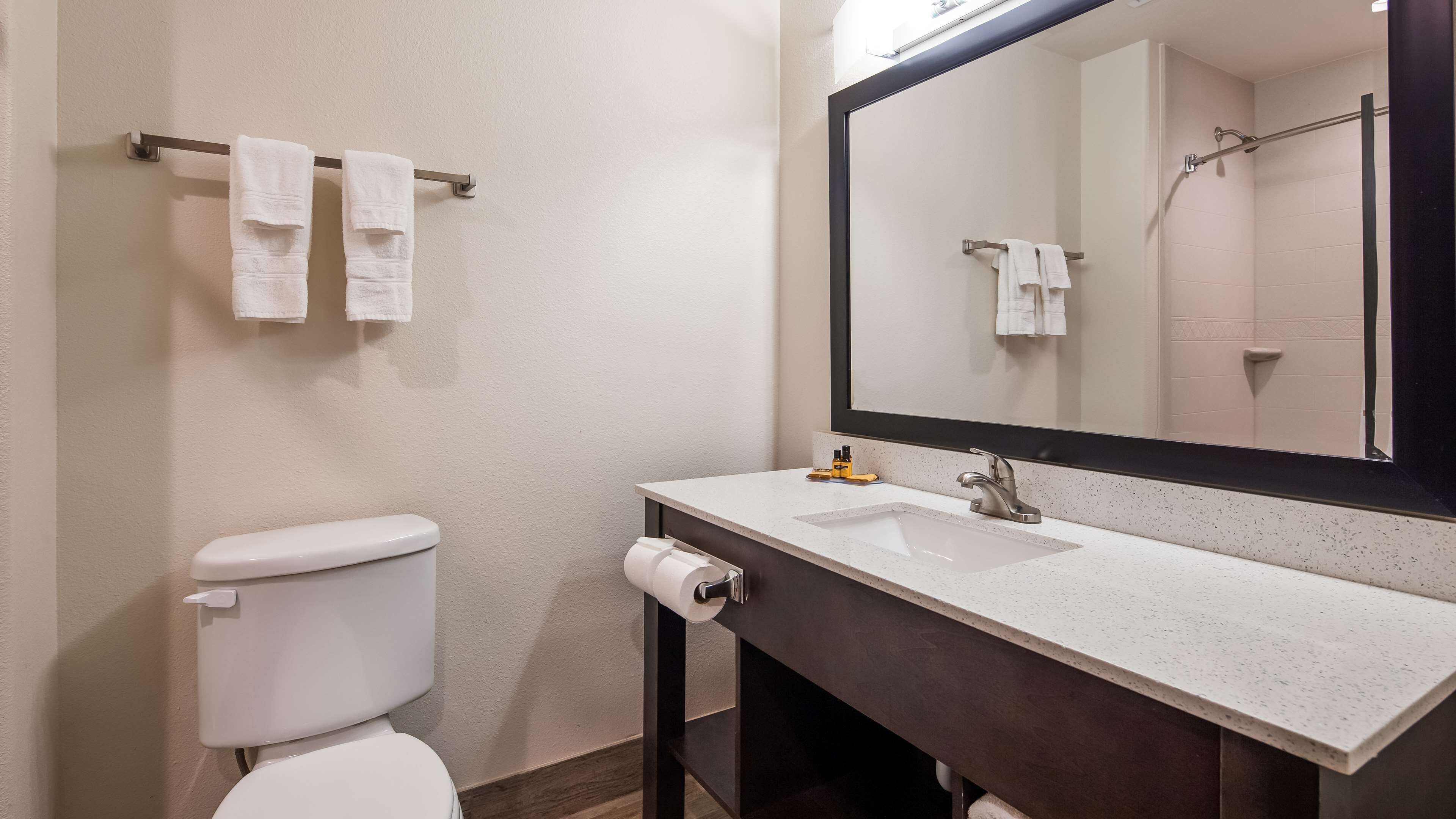 combined shower/bathtub, free toiletries, hair dryer, towels