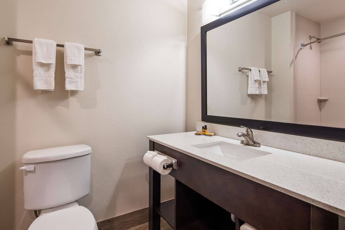 combined shower/bathtub, free toiletries, hair dryer, towels