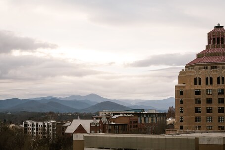 Hilton Garden Inn Asheville Downtown - Image 7