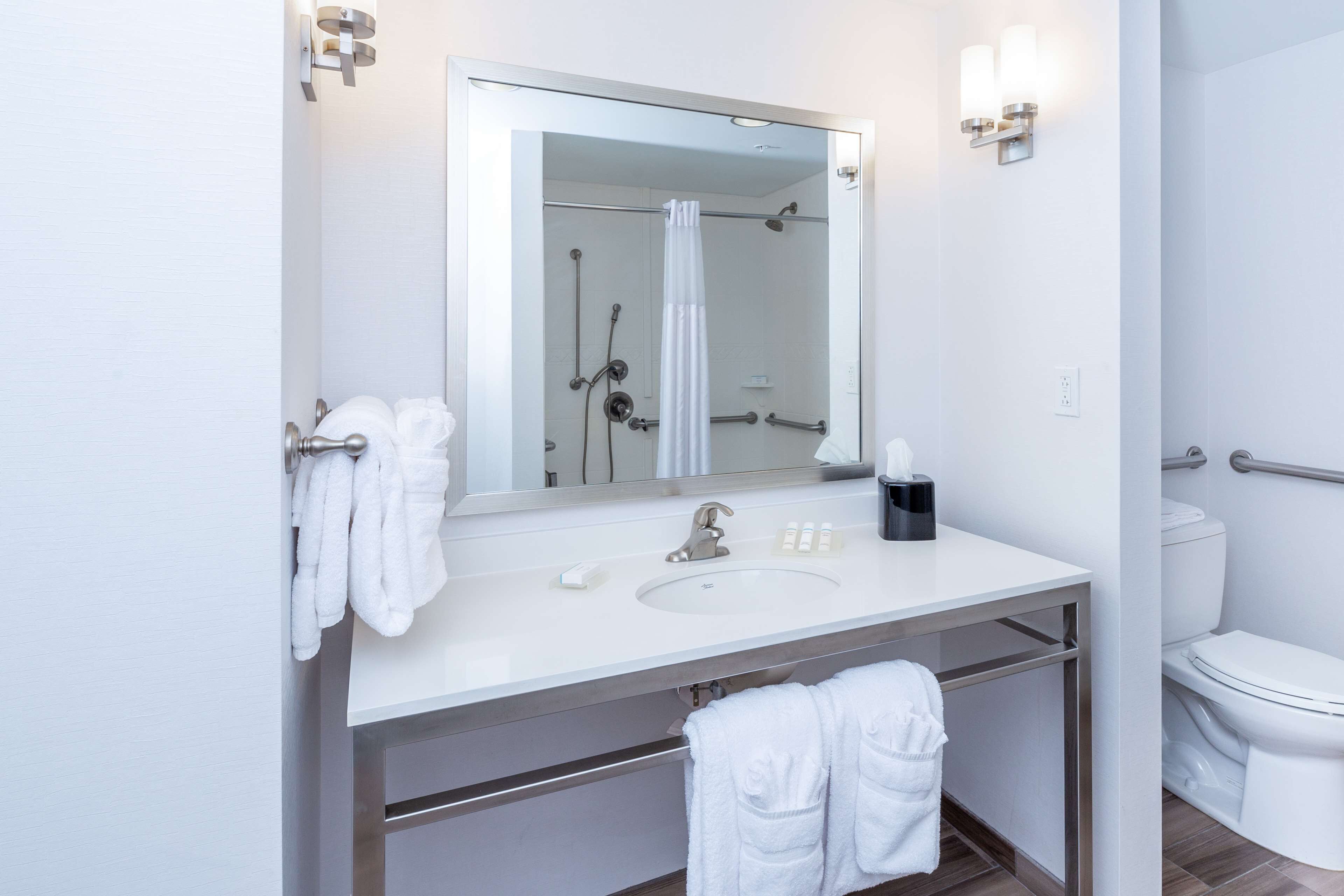 suite, 1 king bed, accessible, non smoking (roll in shower) | bathroom shower